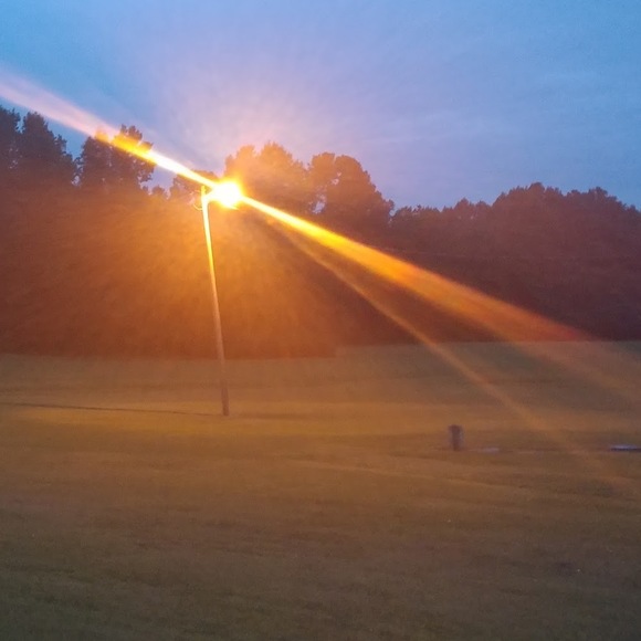 Meet your Posher, Alexus - Picture 1 of 1